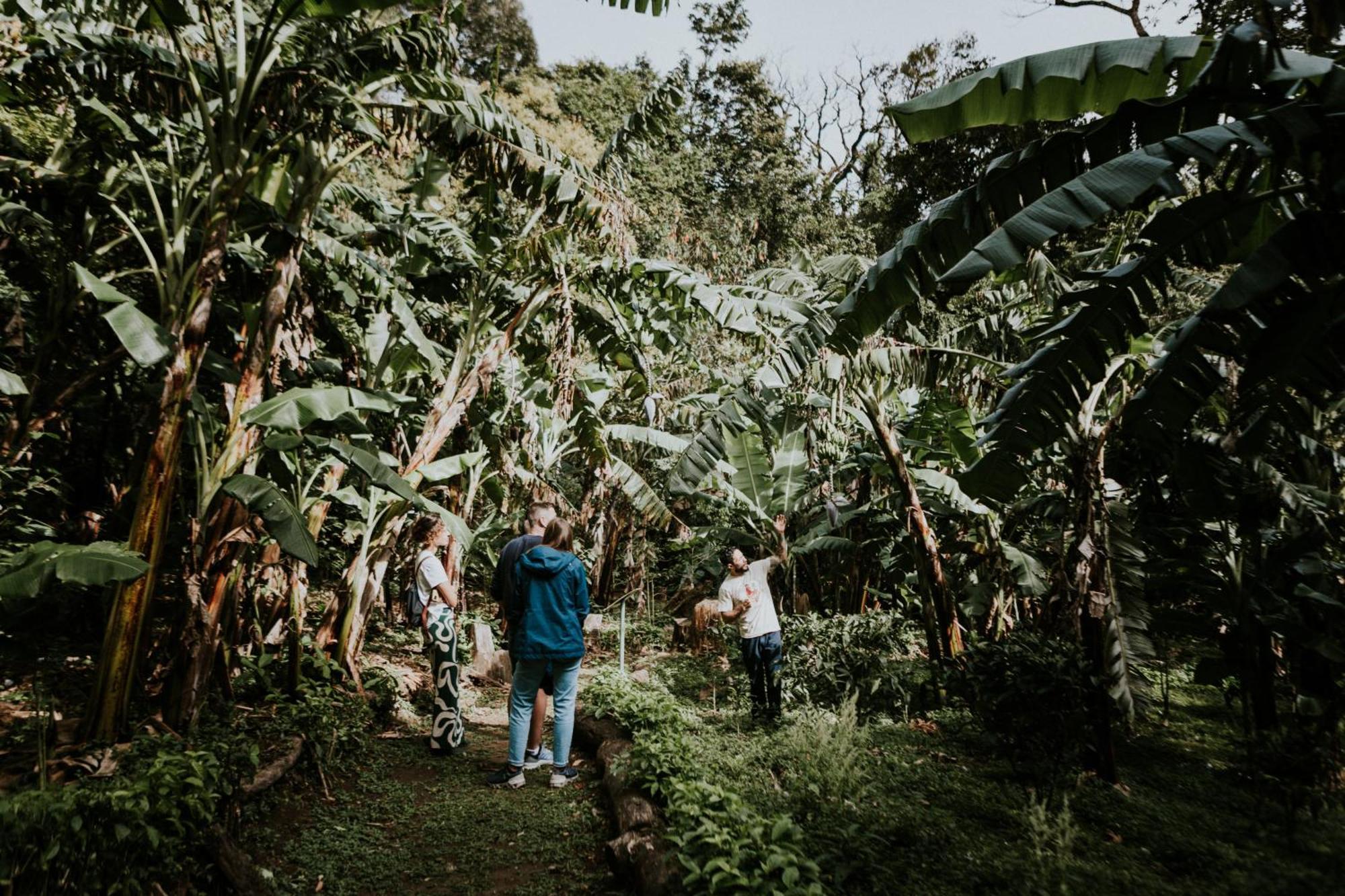 Santuario Ecologico Monteverde Bagian luar foto