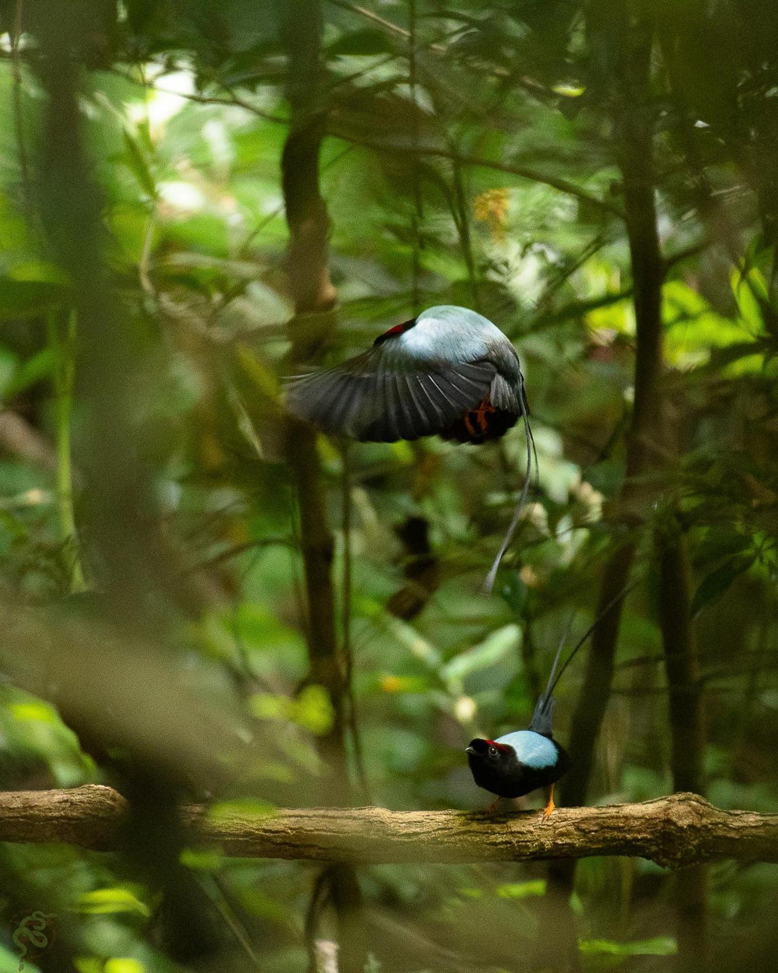 Santuario Ecologico Monteverde Bagian luar foto