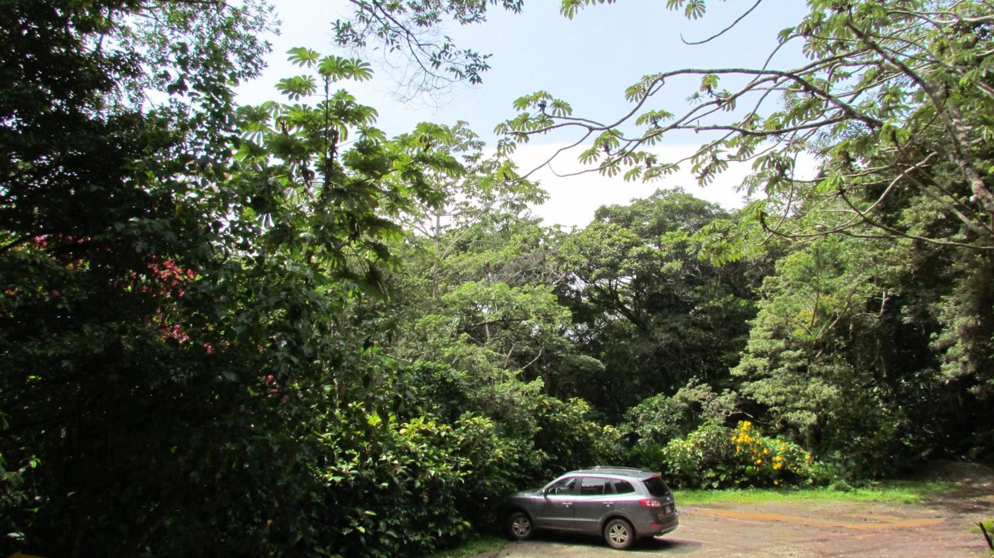 Santuario Ecologico Monteverde Bagian luar foto